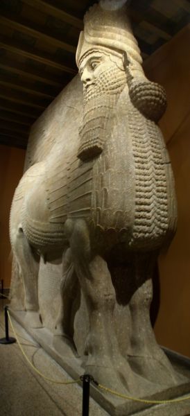 File:2004-03-25@19-30 Oriental institute Khorsabad bull.jpg