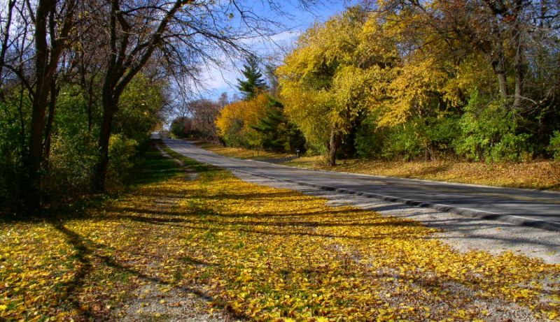 File:2005-11-09@18-43 Road to work.jpg