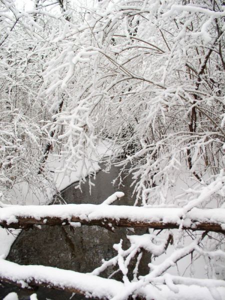 File:2007-02-26@14-51-23 Snowy stream.jpg